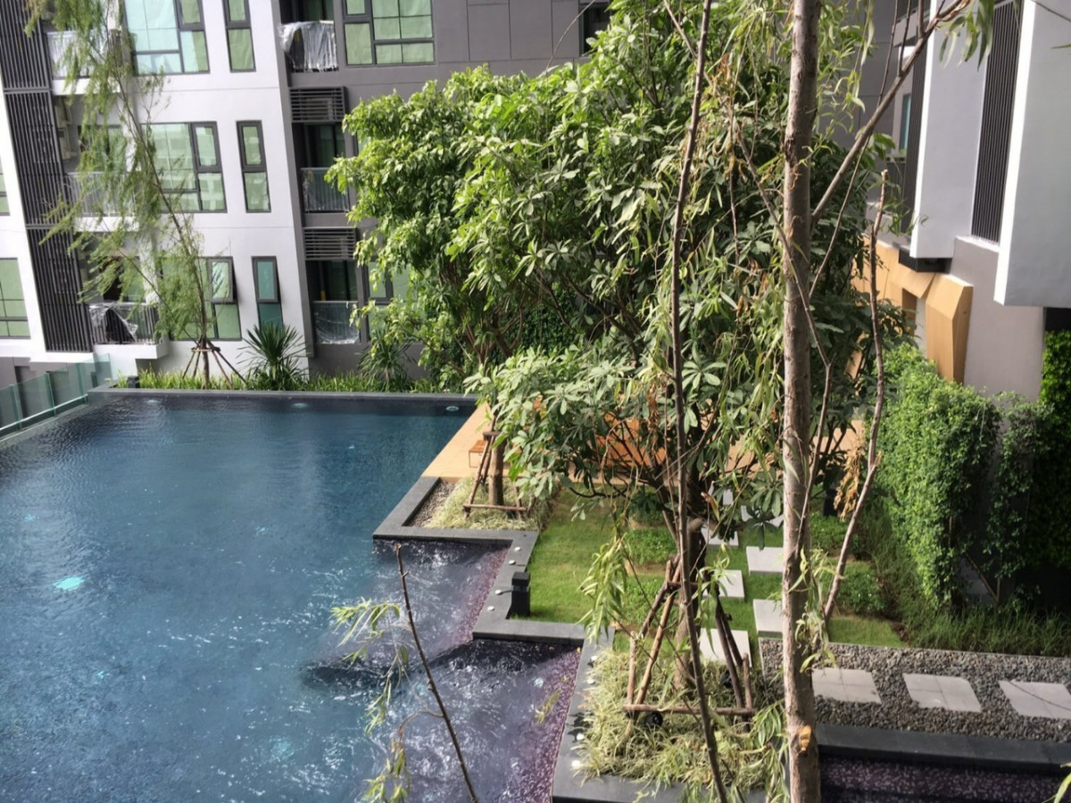 Rhythm Sukhumvit 36-38 I BTS Thonglor I Pool View Good Price 15X,xxx per sqm.  I #HL