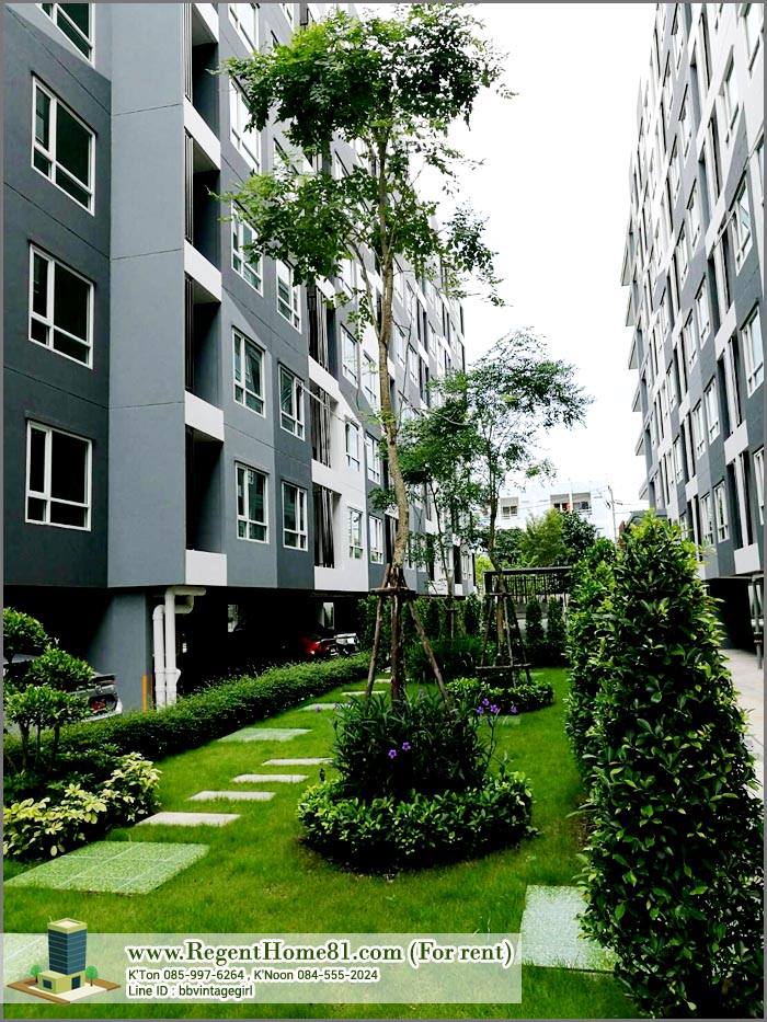 Regent home sukhumvit 81 I BTS Onnut I #HL