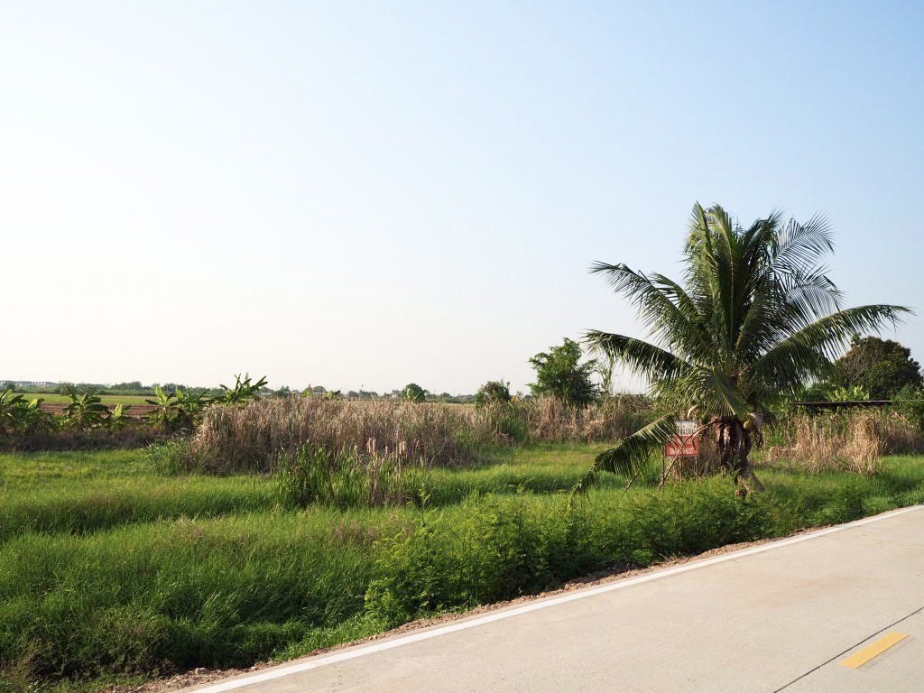 ขายที่ดินเปล่า เมืองปทุมธานี ใกล้วัดวัดราษฏร์ศรัทธาทำ ใกล้ถนนราชพฤกษ์ ตำบลบางหลวง จังหวัดปทุมธานี